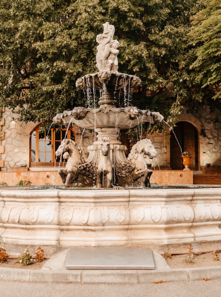 5 razones para vivir una boda única en Mas de Sant Lleí